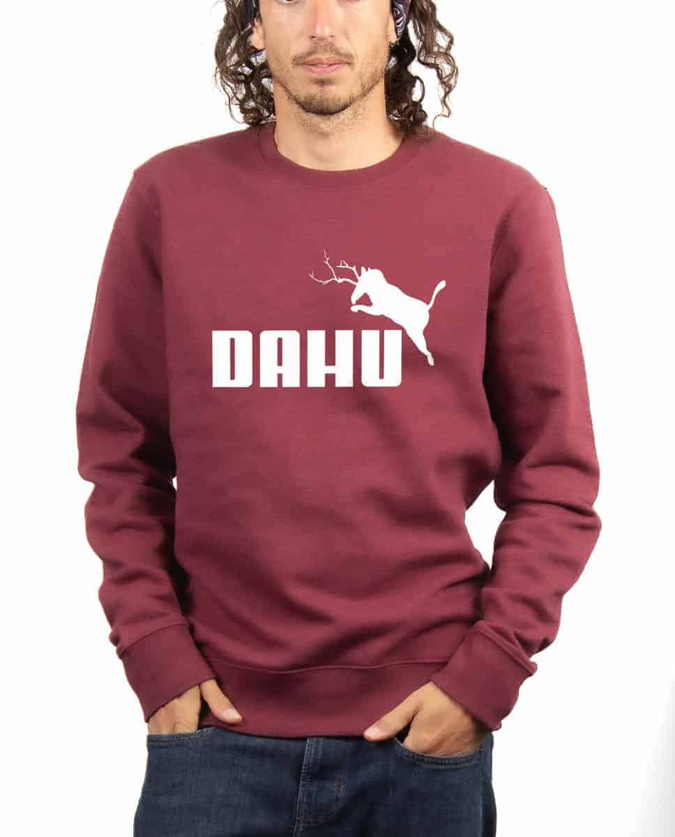PULL HOMME : DAHU – Image 11