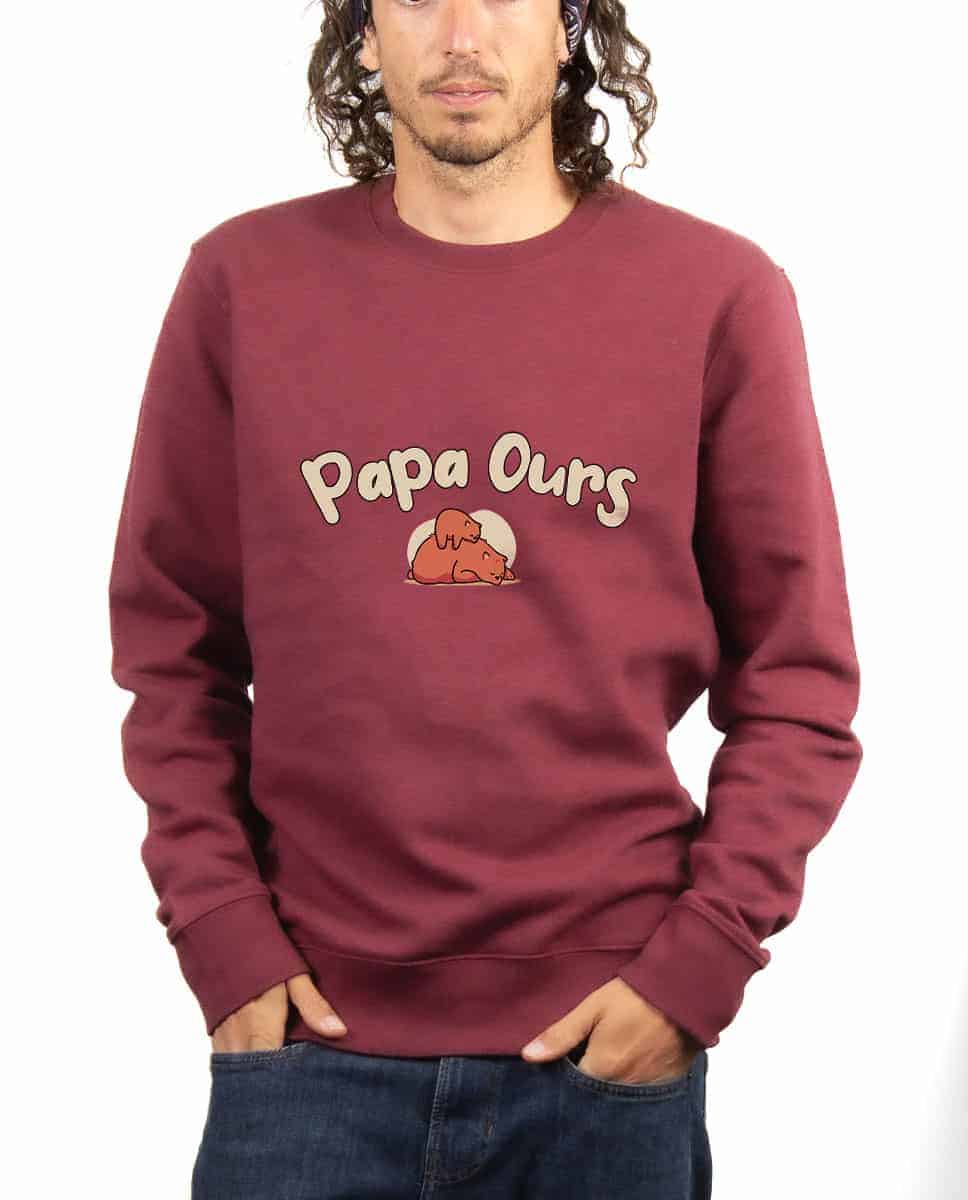 PULL HOMME : PAPA OURS – Image 8