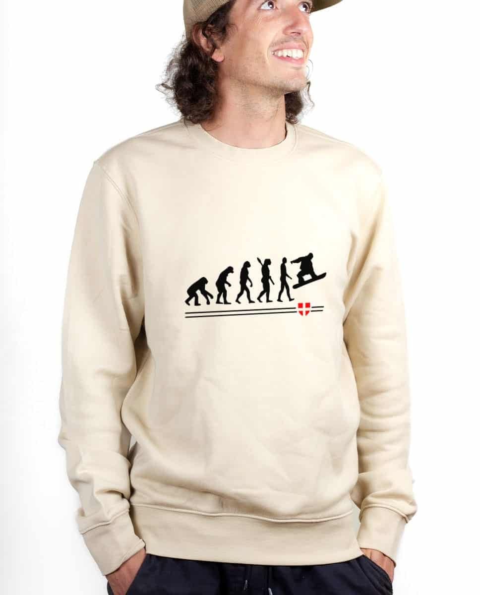 PULL HOMME : EVOLUTION SNOW – Image 4