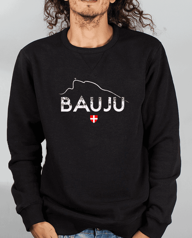 PULL HOMME : BAUJU – Image 2